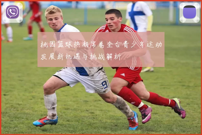 桃园篮球热潮席卷全台青少年运动发展新机遇与挑战解析