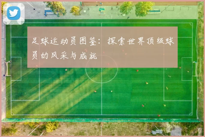 足球运动员图鉴：探索世界顶级球员的风采与成就