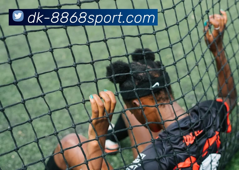 8868体育平台生态图